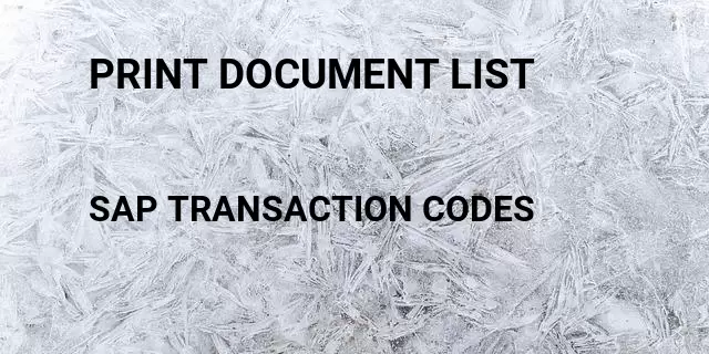 Print document list Tcode in SAP