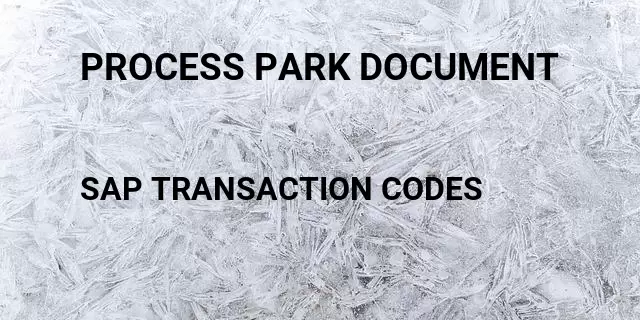 Process park document Tcode in SAP