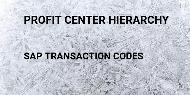 Profit center hierarchy Tcode in SAP