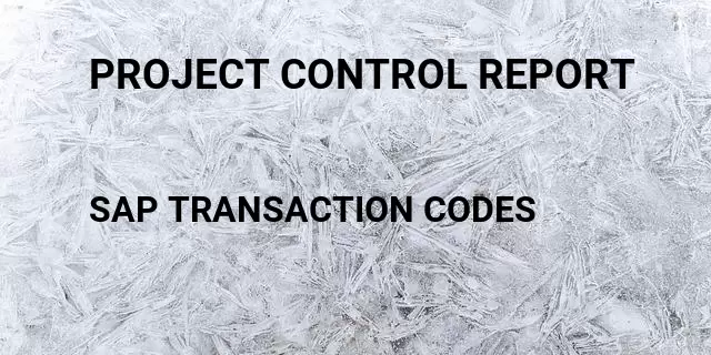 Project control report Tcode in SAP