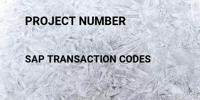 Project number Tcode in SAP