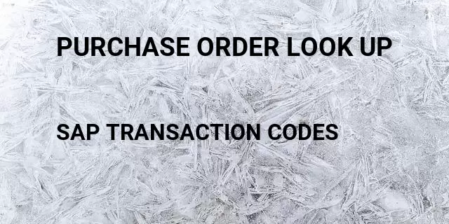 Purchase order look up Tcode in SAP