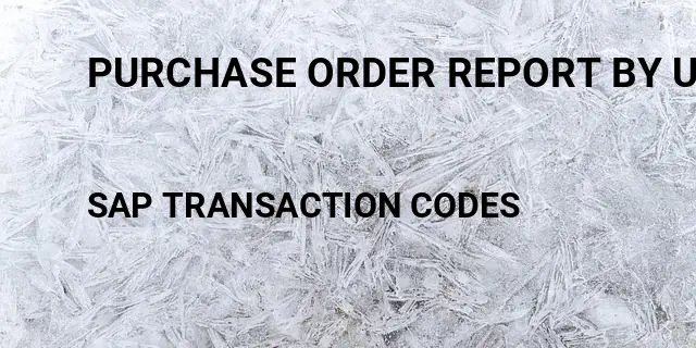 Purchase order report by user Tcode in SAP