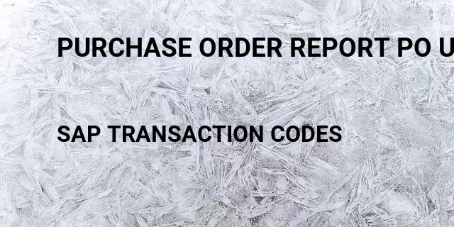 Purchase order report po upload tocode Tcode in SAP