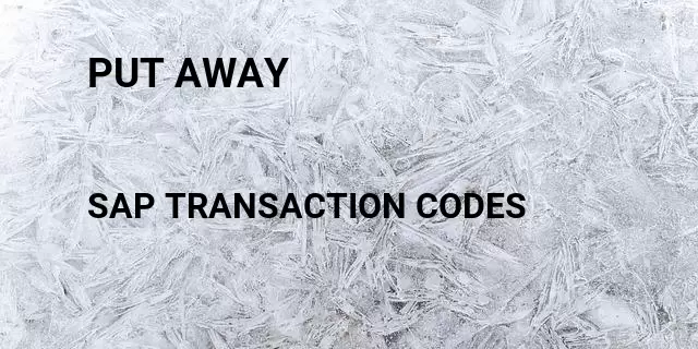 Put away Tcode in SAP