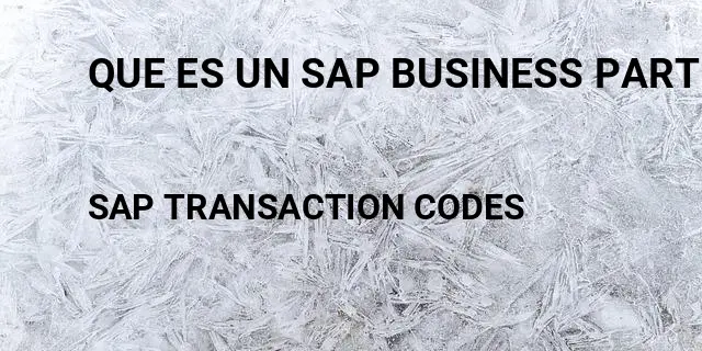 Que es un sap business partner Tcode in SAP