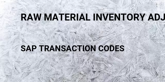 Raw material inventory adjustments Tcode in SAP