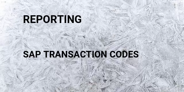 Reporting Tcode in SAP