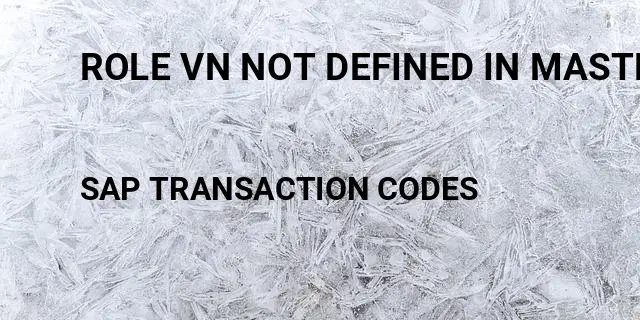 Role vn not defined in master record for vendor Tcode in SAP