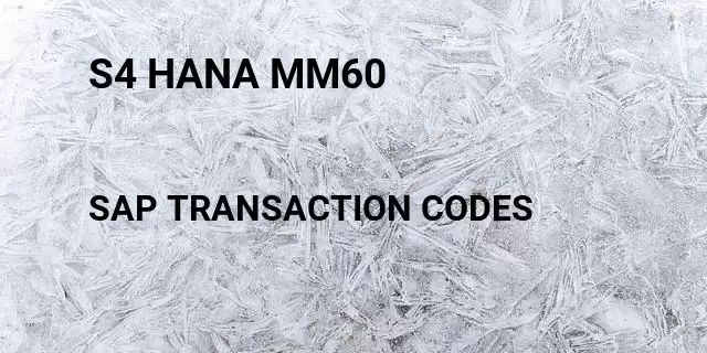 S4 hana mm60 Tcode in SAP