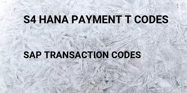 S4 hana payment t codes Tcode in SAP
