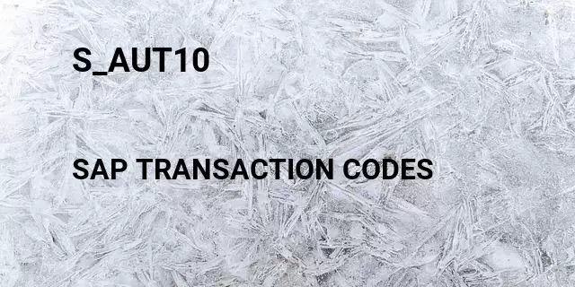 S_aut10 Tcode in SAP
