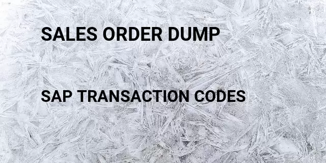 Sales order dump Tcode in SAP