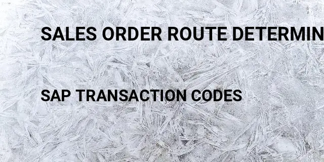 Sales order route determination Tcode in SAP