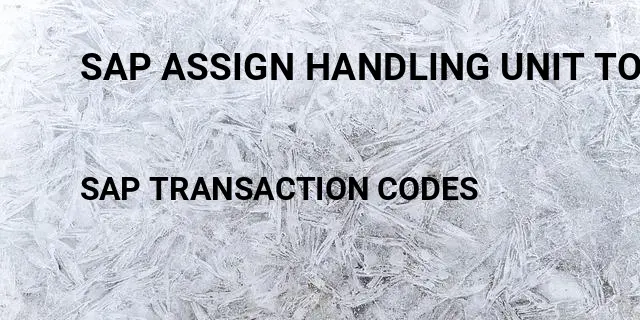 Sap assign handling unit to delivery Tcode in SAP