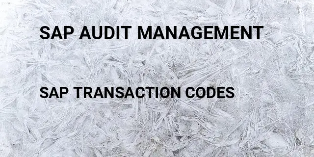 Sap audit management Tcode in SAP