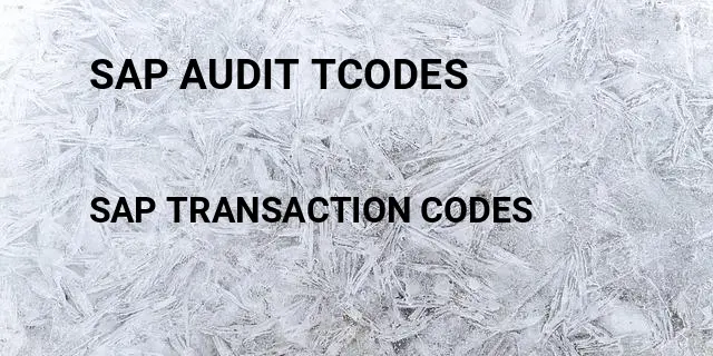 Sap audit tcodes Tcode in SAP