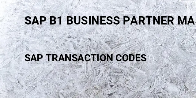 Sap b1 business partner master data Tcode in SAP