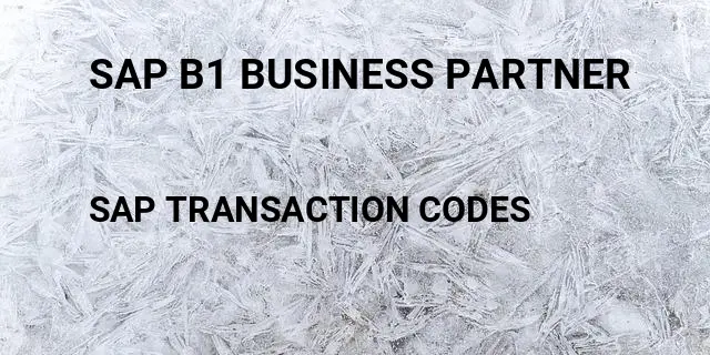 Sap b1 business partner Tcode in SAP
