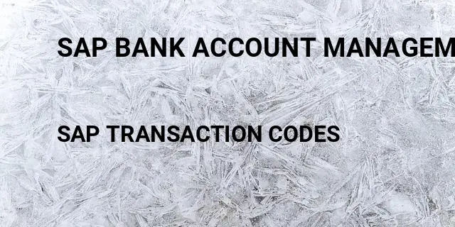 Sap bank account management dual control Tcode in SAP