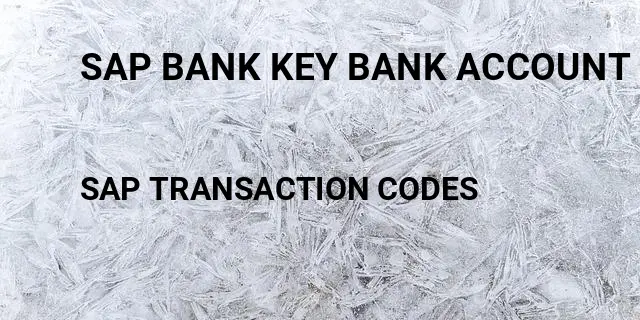 Sap bank key bank account Tcode in SAP