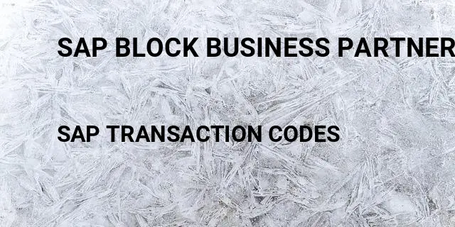 Sap block business partner Tcode in SAP