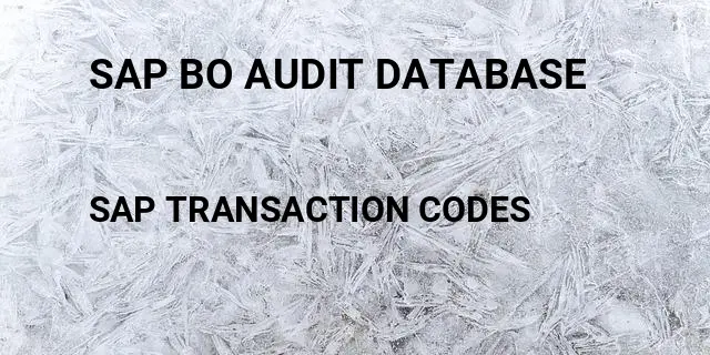 Sap bo audit database Tcode in SAP