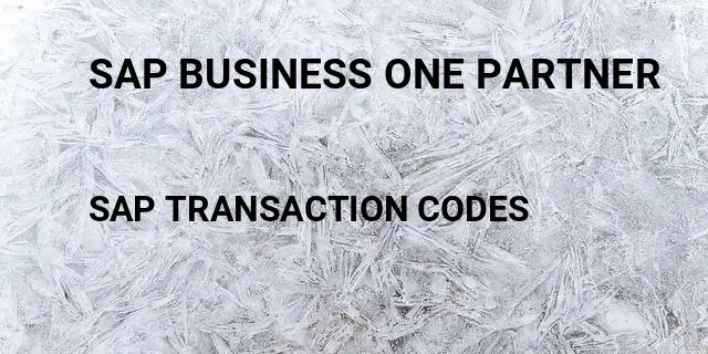 Sap business one partner Tcode in SAP
