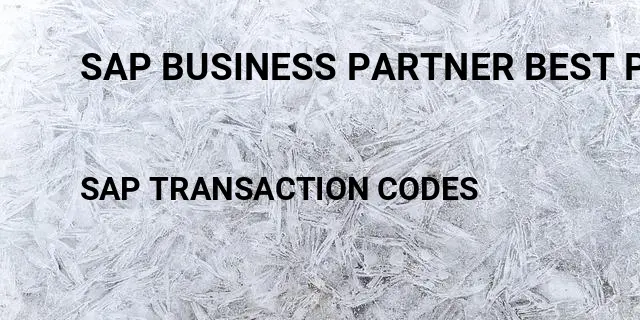Sap business partner best practices Tcode in SAP