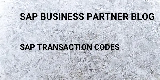 Sap business partner blog Tcode in SAP