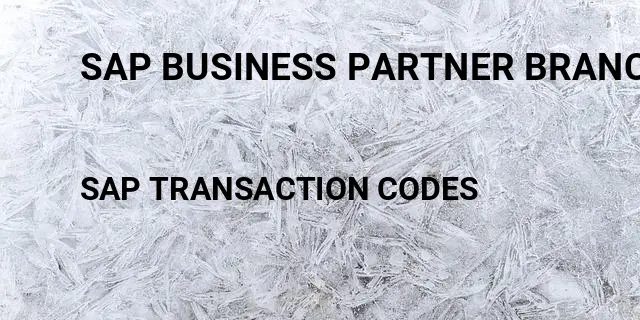 Sap business partner branch code Tcode in SAP