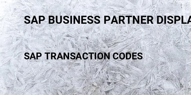 Sap business partner display transaction Tcode in SAP