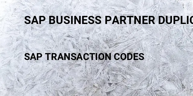 Sap business partner duplicate check Tcode in SAP
