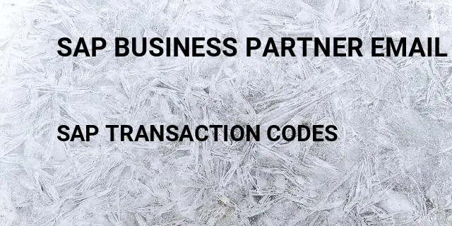 Sap business partner email address Tcode in SAP