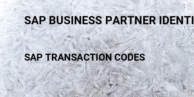 Sap business partner identification number Tcode in SAP
