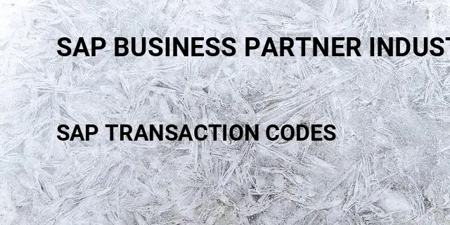 Sap business partner industry Tcode in SAP