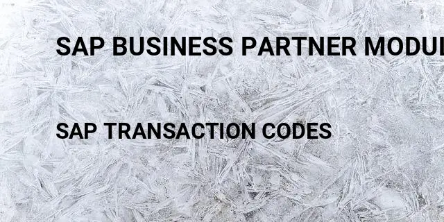 Sap business partner module Tcode in SAP