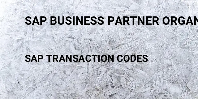 Sap business partner organization Tcode in SAP