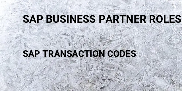 Sap business partner roles list Tcode in SAP