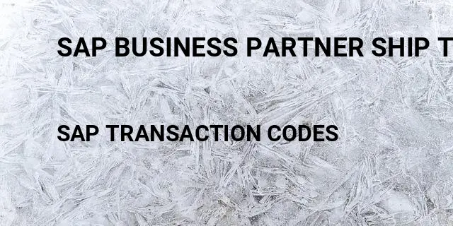 Sap business partner ship to party Tcode in SAP