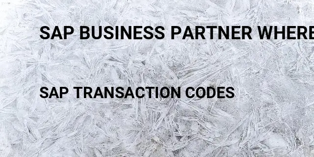 Sap business partner where used list Tcode in SAP