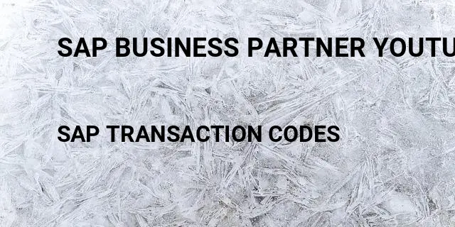 Sap business partner youtube Tcode in SAP