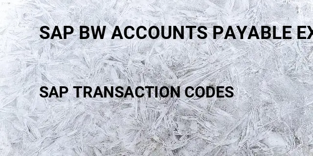 Sap bw accounts payable extractor Tcode in SAP