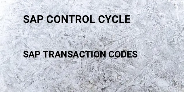 Sap control cycle Tcode in SAP