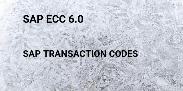 Sap ecc 6.0 Tcode in SAP
