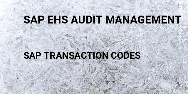 Sap ehs audit management Tcode in SAP