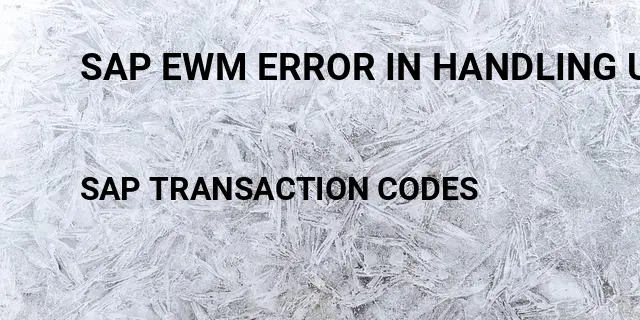 Sap ewm error in handling unit administration Tcode in SAP