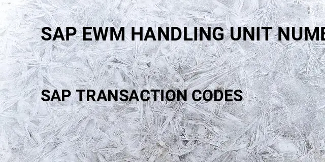 Sap ewm handling unit number range Tcode in SAP