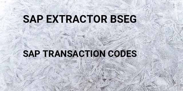 Sap extractor bseg Tcode in SAP