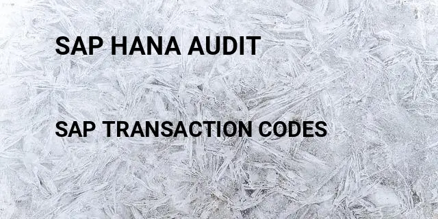 Sap hana audit Tcode in SAP